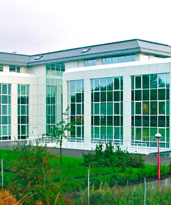 Millenium – Capellen